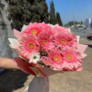 Dulce Gerbera 💐