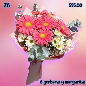 Ramo Gerberas & Margaritas 🌸